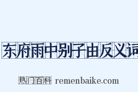 东府雨中别子由反义词是什么意思的图片